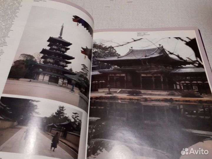 Япония, сезоны перемен