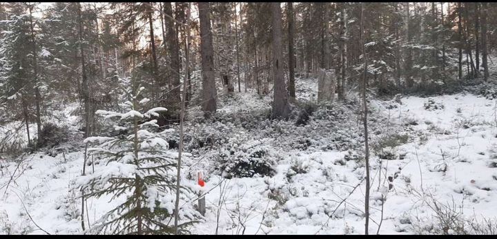 Участок 10 сот. (СНТ, ДНП)