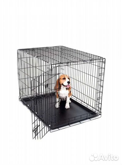 Клетка для собаки в аренду