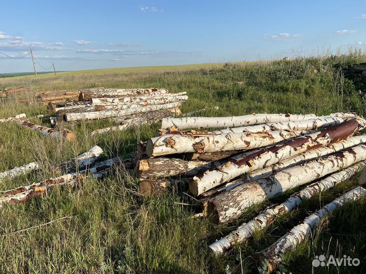 Сруб бревна сосна