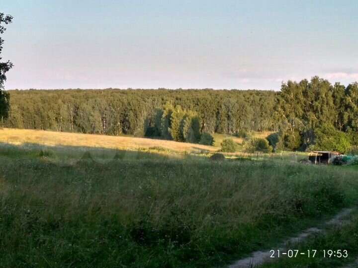 Участок 65 сот. (ИЖС)