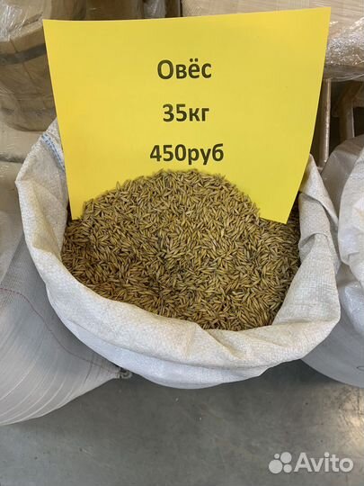 Корма для животных