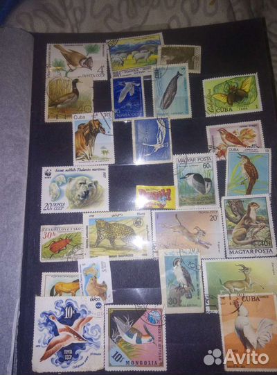 Клястер с марками