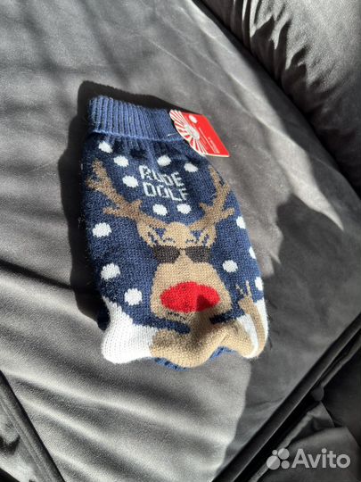 Одежда для собак мелких пород