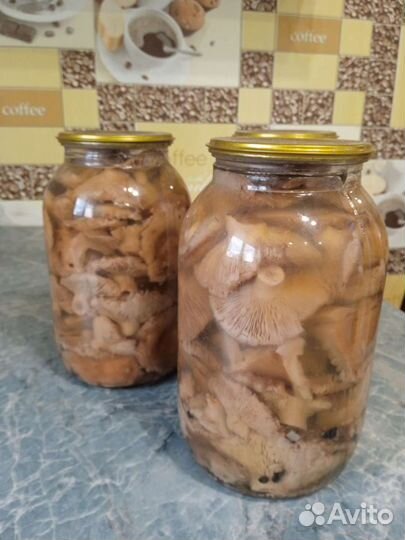Грибы маринованные