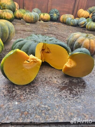 Тыква Мускат Де Прованс
