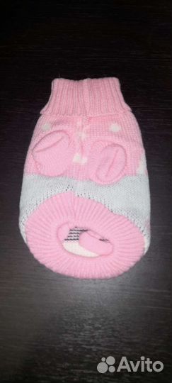 Одежда для животных