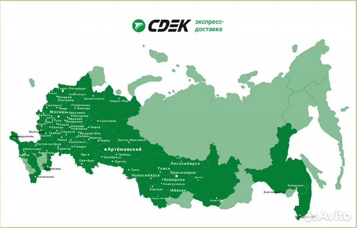 Роза шраб Лоран Каброль - саженцы зкс, Сады Урала