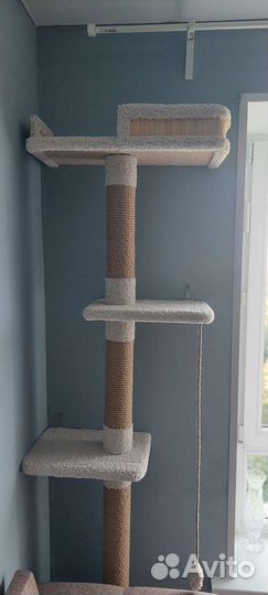 Когтеточка домик для кошки бу