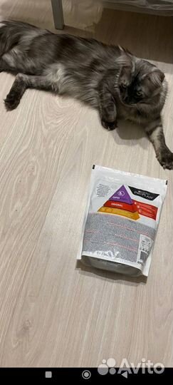 Корм pro plan для котят 800гр курица