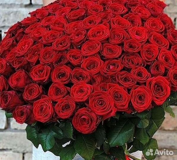 Высокие розы 150 160 170 180 190см доставка Москва