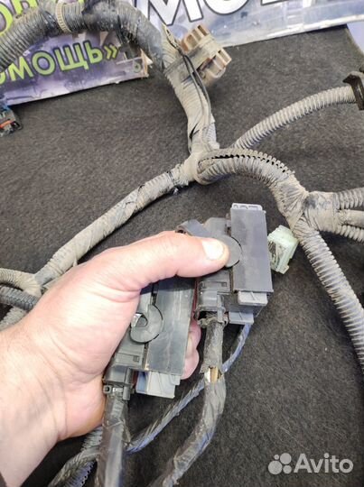 Проводка двигателя Daewoo Nexia