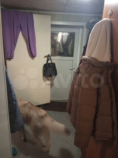 Дом 50 м² на участке 15 сот.