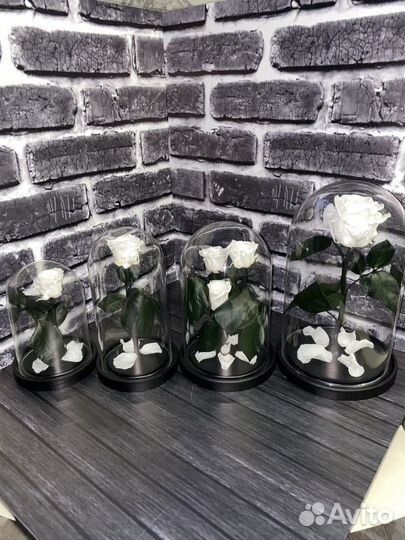 Роза в колбе