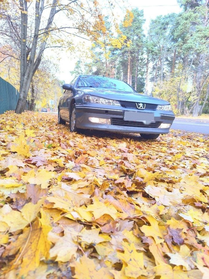 Peugeot 406: фото из отзыва
