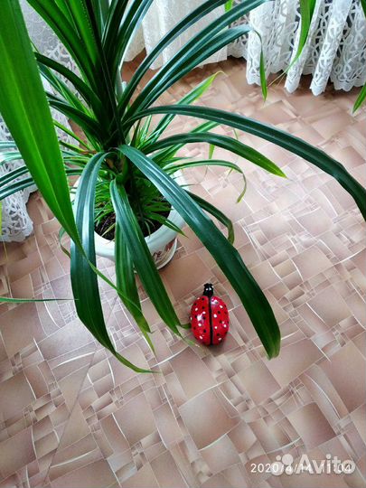 Фляжка детская армейская