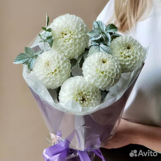 Георгины / Букет из георгин / Доставка цветов