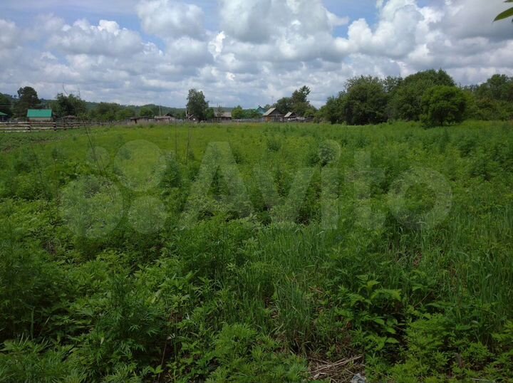 Участок 35 сот. (ИЖС)