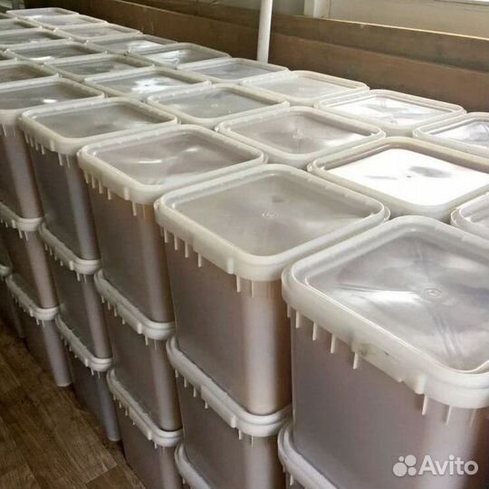 Натуральный свежий мёд разнотравье Качка 2023 толь