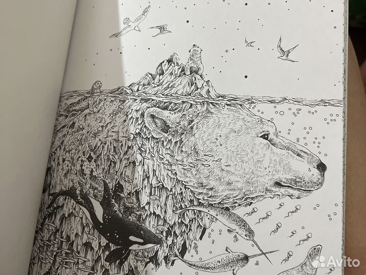 Раскраска антистресс