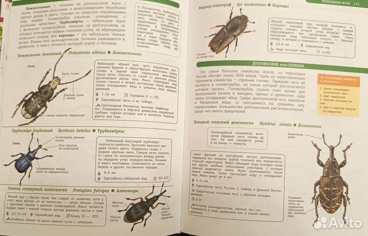 Большой определитель птиц, животных и насекомых