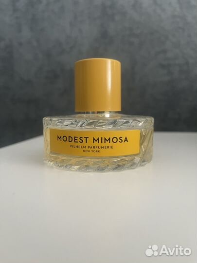Modest mimosa Vilhelm Parfumerie