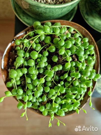 Горшок для растений керамический маленький 0,45 л