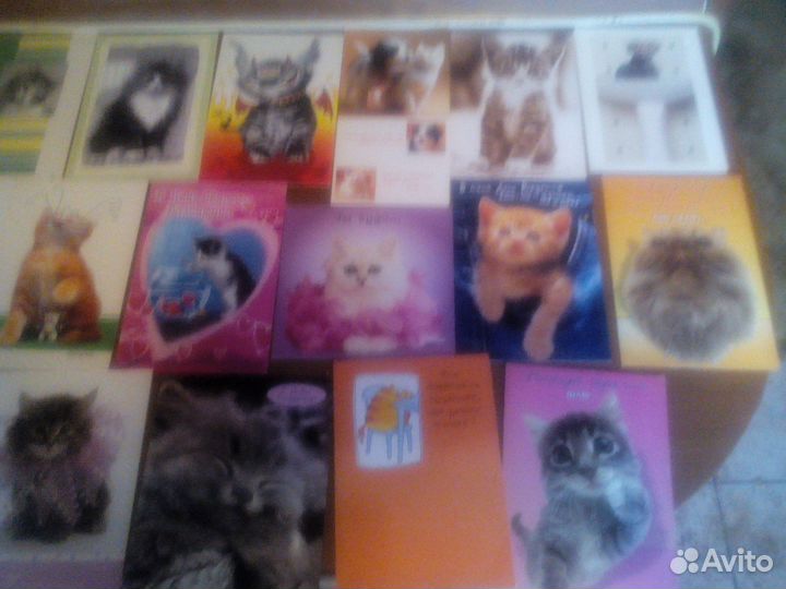 Открытки кошки новые