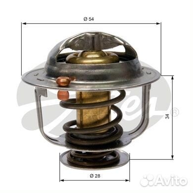 Термостат TH31782G1