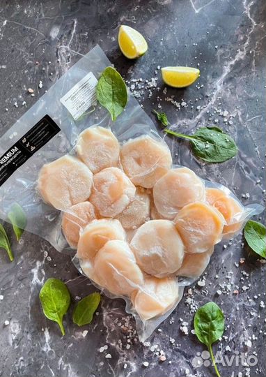 Гребешок Курильский