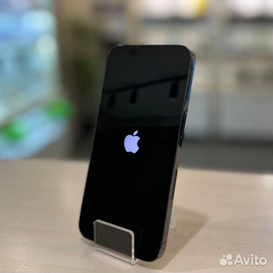 iPhone 13 Pro, 256 ГБ