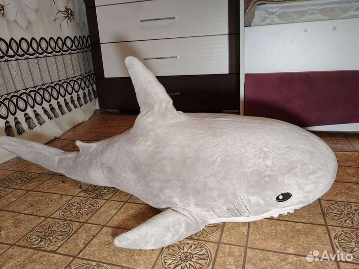 Акула блохэй