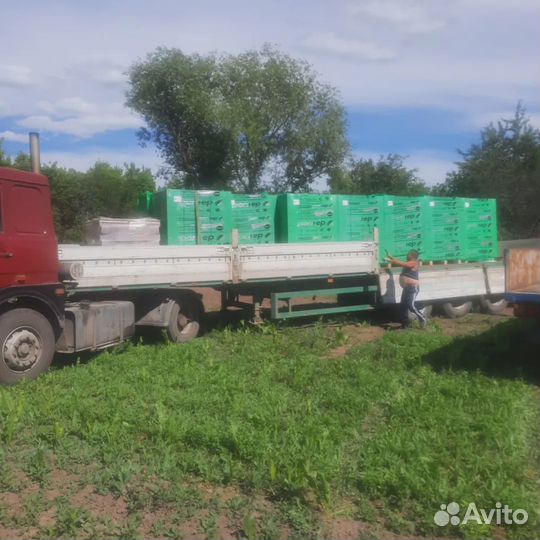 Газосиликатные блоки 600 250 400