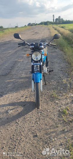 Орион грифон 125