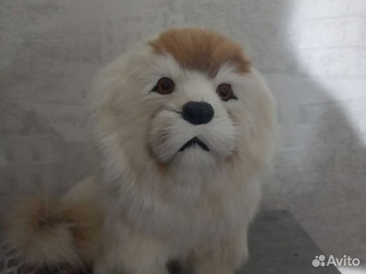 Игрушечная собака