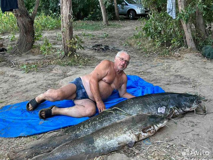 Квок для ловли сома