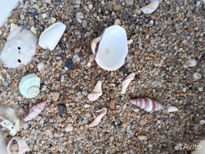 Аксессуары для аквариума