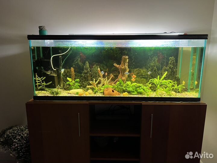 Аквариум с рыбками и тумбой