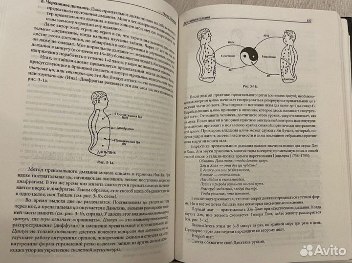 Дао Тайцзи-Цюаня. Путь к омоложению. 1999г