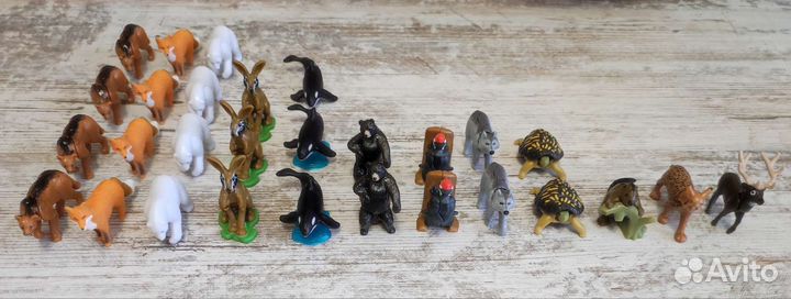 Киндер сюрприз natoons