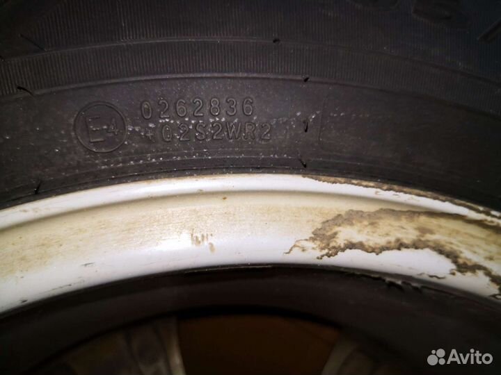 Nokian Tyres Nordman 8 205/60 R16 96T