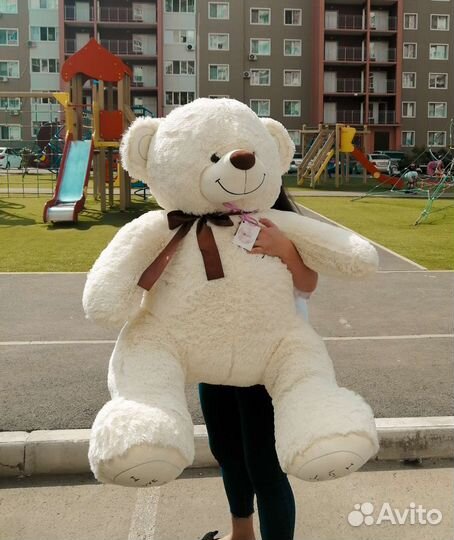 Большие медведи 160 см