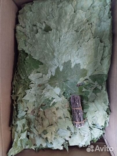 Веники дубовые краснодар