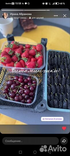 Фрукты и ягоды