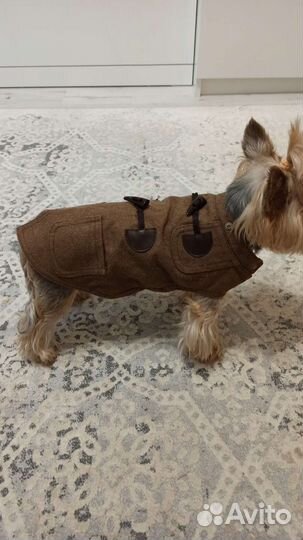 Одежда для собаки
