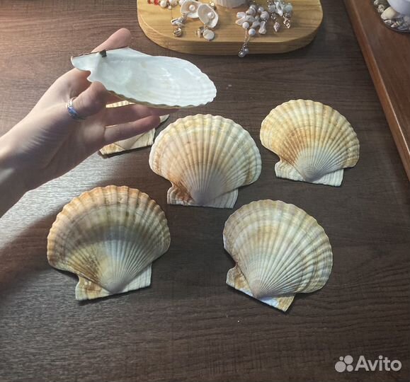 Бокал ракушка ручной работы