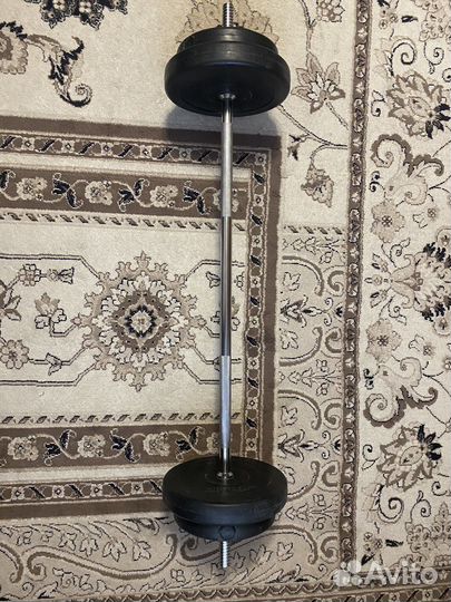 Штанга с блинами