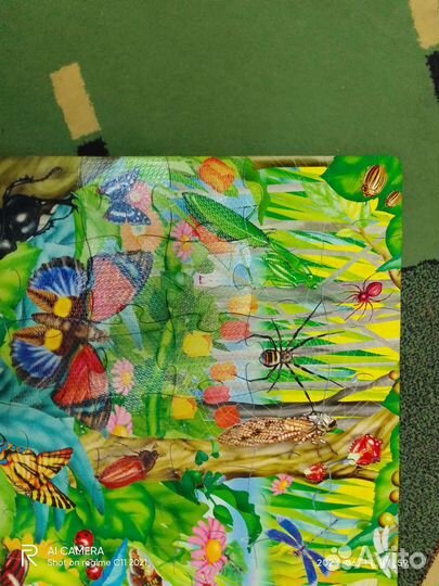 Пазлы большие