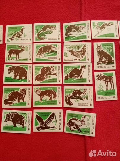 Спичечные этикетки. Березинский заповедник