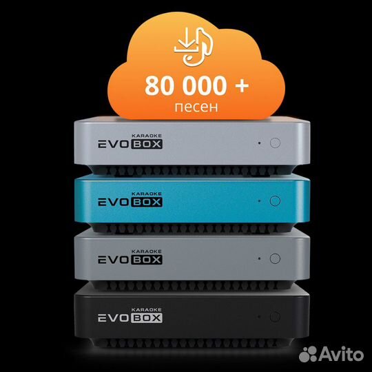 Профессиональное караоке для дома Evobox